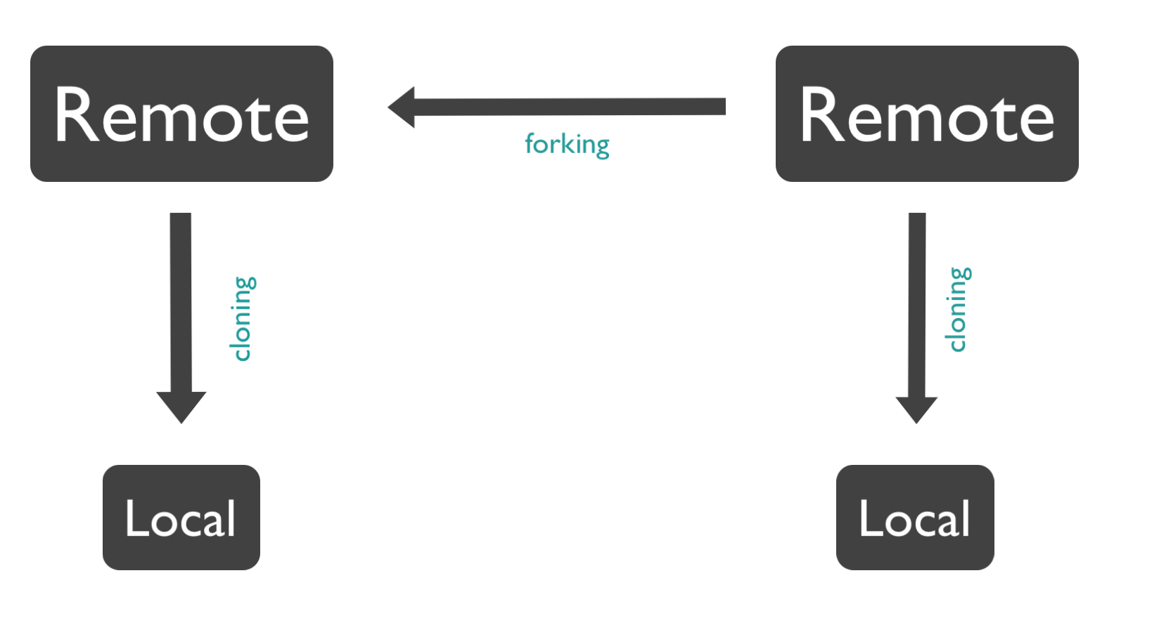 git clone a branch